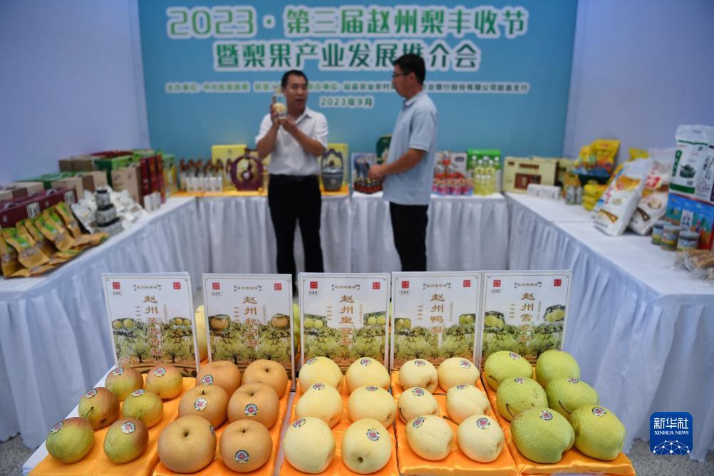 中国新赌场